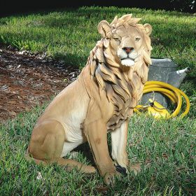 King Of Beasts Lion